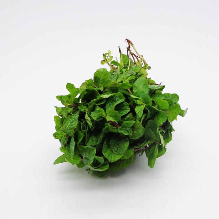 MENTA