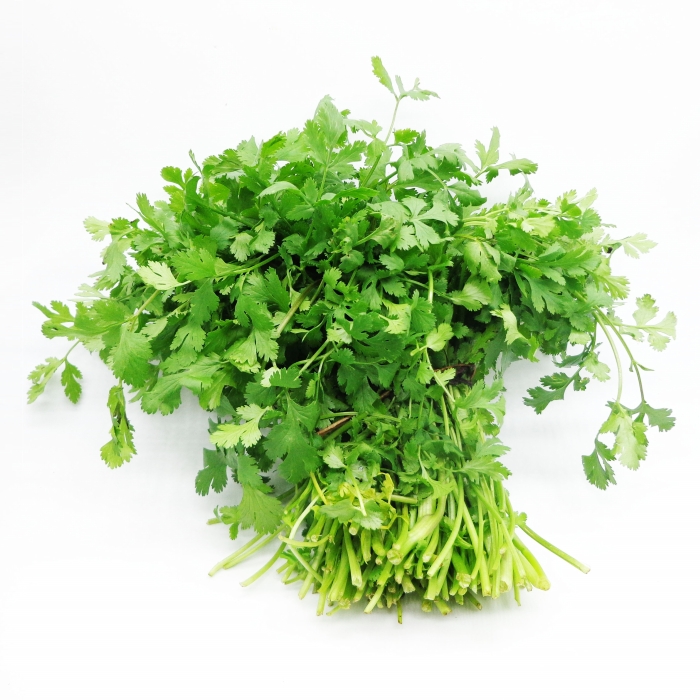 CILANTRO