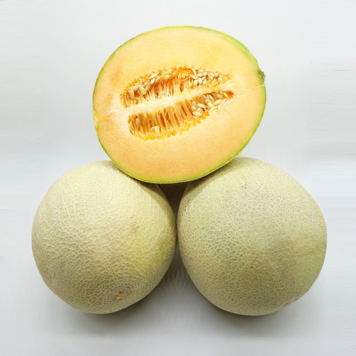 MELON ESCRITO